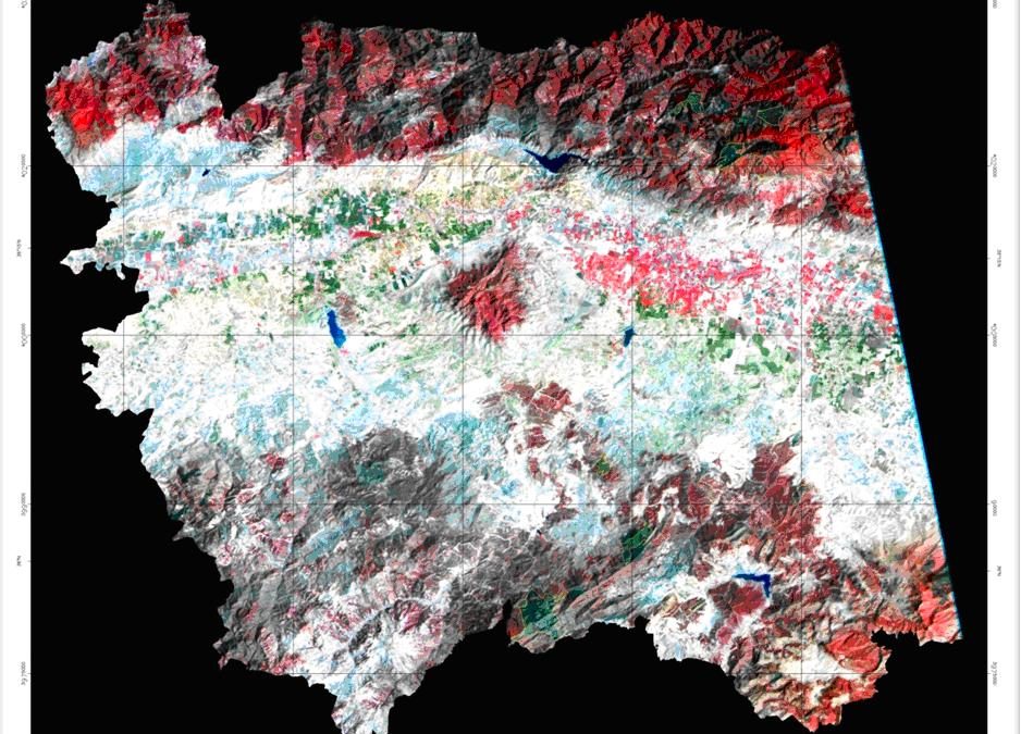 Dispositif de prévention contre les feux de forêts: