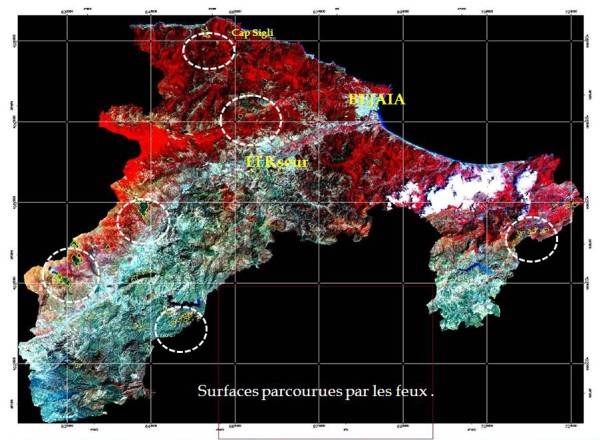 Atelier ASAL-DGF sur la présentation du bilan des feux de forêts 2010.