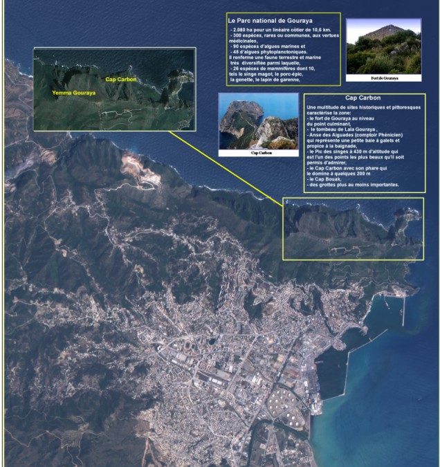 Exposition de l’ASAL  à la  conférence  sur la Célébration de la « Journée de la Côte Méditerranéenne »