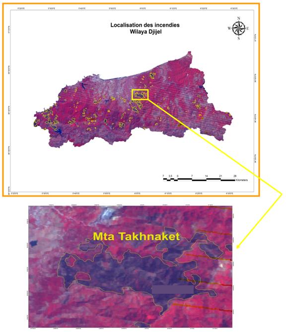 Atelier ASAL-DGF sur la présentation du bilan préliminaire des feux de forêts 2011.