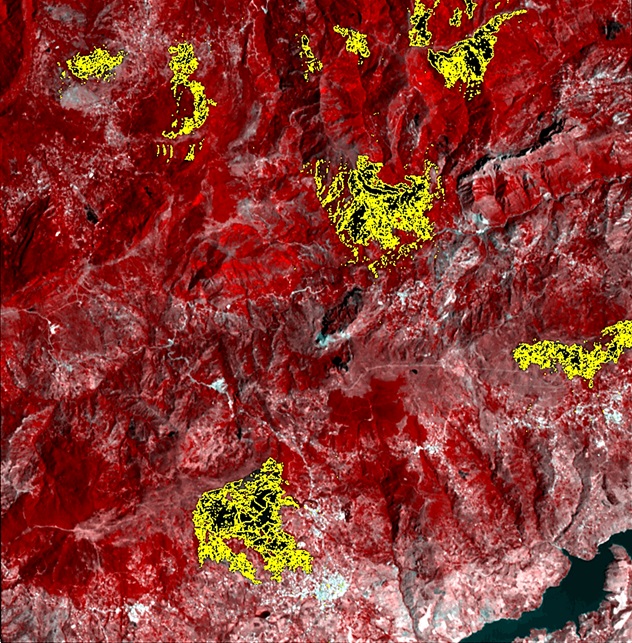 Délimitation des zones incendiées dans la région de Mila – Wilaya de Mila, à partir de l’imagerie satellitaire Alsat-2
