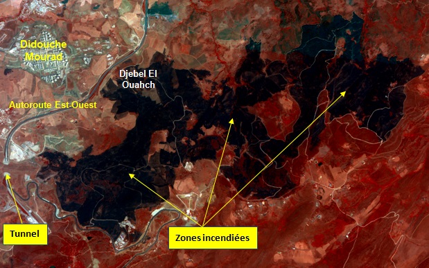 Délimitation des zones incendiées dans la région de Djebel Ouahch, Wilaya de Constantine, à partir de l’imagerie satellitaire Alsat-2