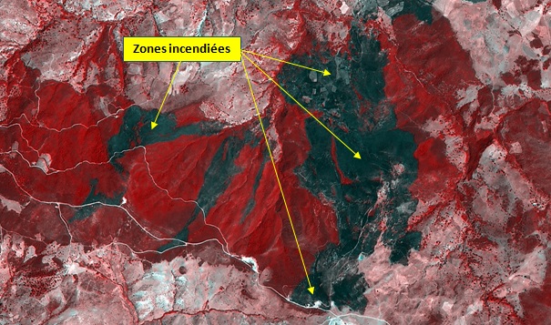 Délimitation des zones Incendiées dans la wilaya de Skikda, à partir de l’imagerie satellitaire à haute résolution Alsat-2