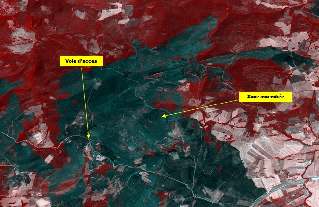 Mise en évidence des zones incendiées dans la région de Nechmeya, Wilaya de Guelma, à partir de l’imagerie satellitaire Alsat-2
