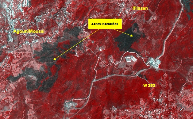 Délimitation des zones incendiées dans les Wilayas de Tizi Ouzou et de Bouira, à partir de l’imagerie satellitaire Alsat-2