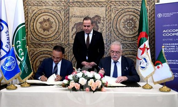 Signature d&rsquo;un accord de coopération entre l&rsquo;ASAL et la CLCPRO